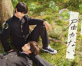 优化推广软件seo